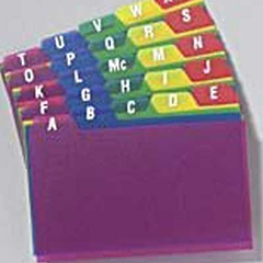 CARD,GUIDES,POLY,DAILY,4X6