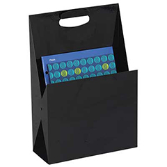 Portable Steel File Tote & Desktop Organizer