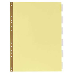 Insertable Binder Dividers, 6-Tab Data Set, Tabs